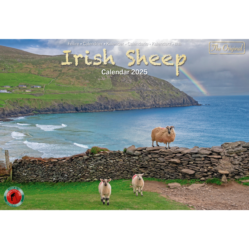 A4 Irish Sheep 2025 Calendar
